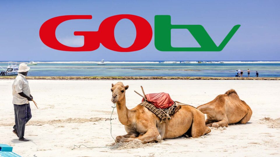 Kilifi to enjoy a world of entertainment on GOtv service