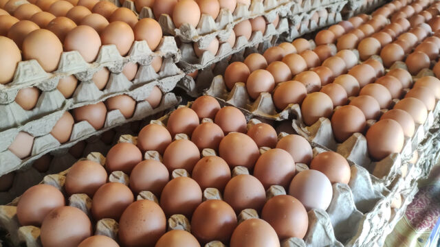 The dynamics of Kenya’s egg market