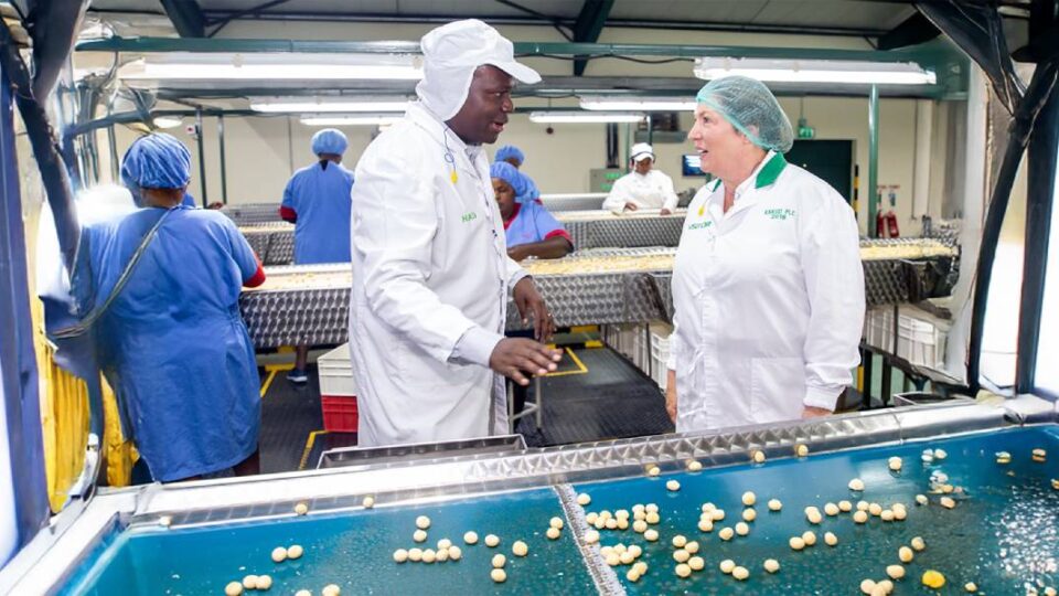 Kakuzi hosts World Macadamia Organisation CEO, Jillian Laing